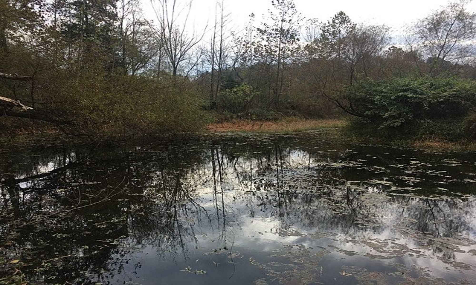 Book Your Fishing Charter in Fuquay-Varina, NC