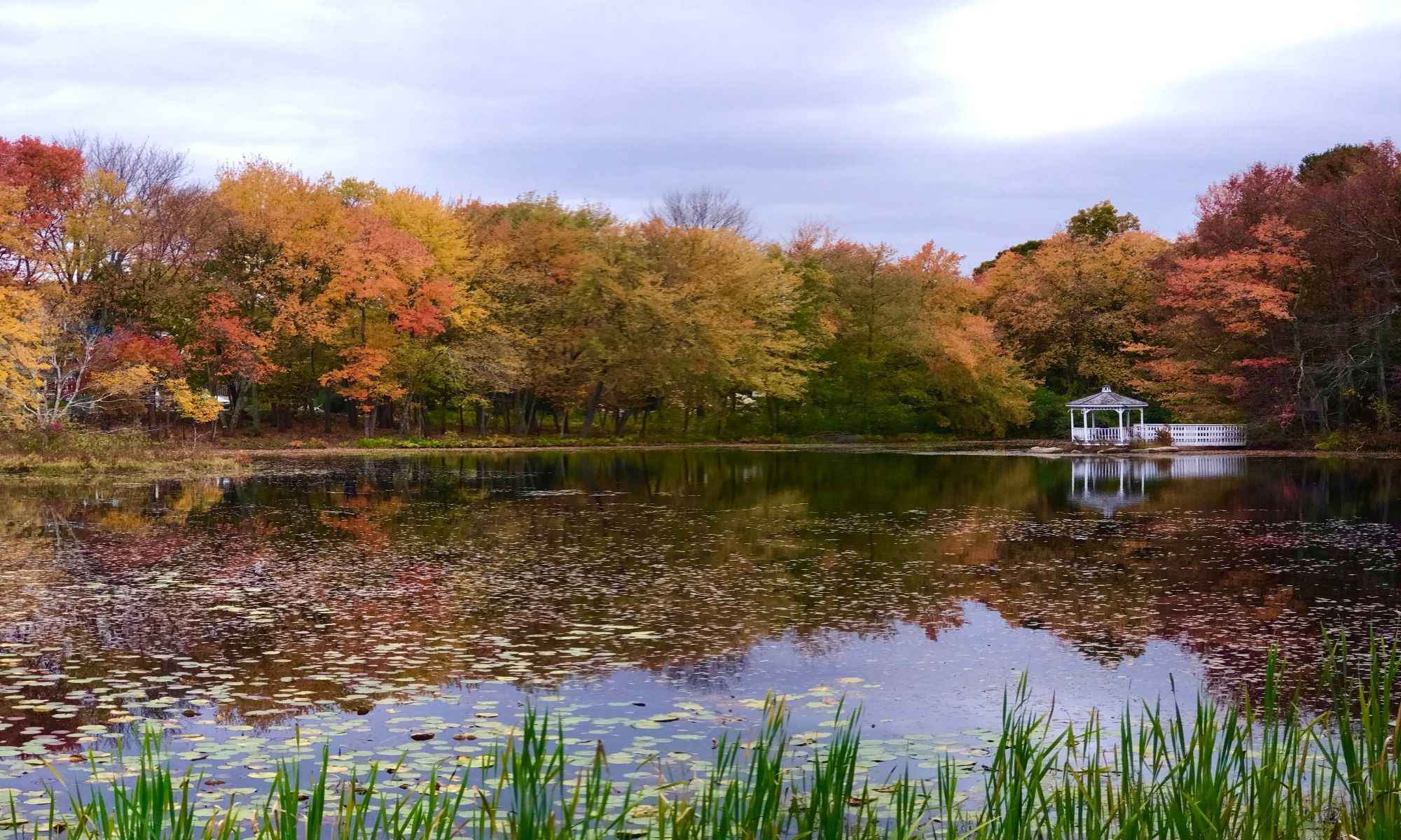 Book Your Fishing Charter in Ashland, MA