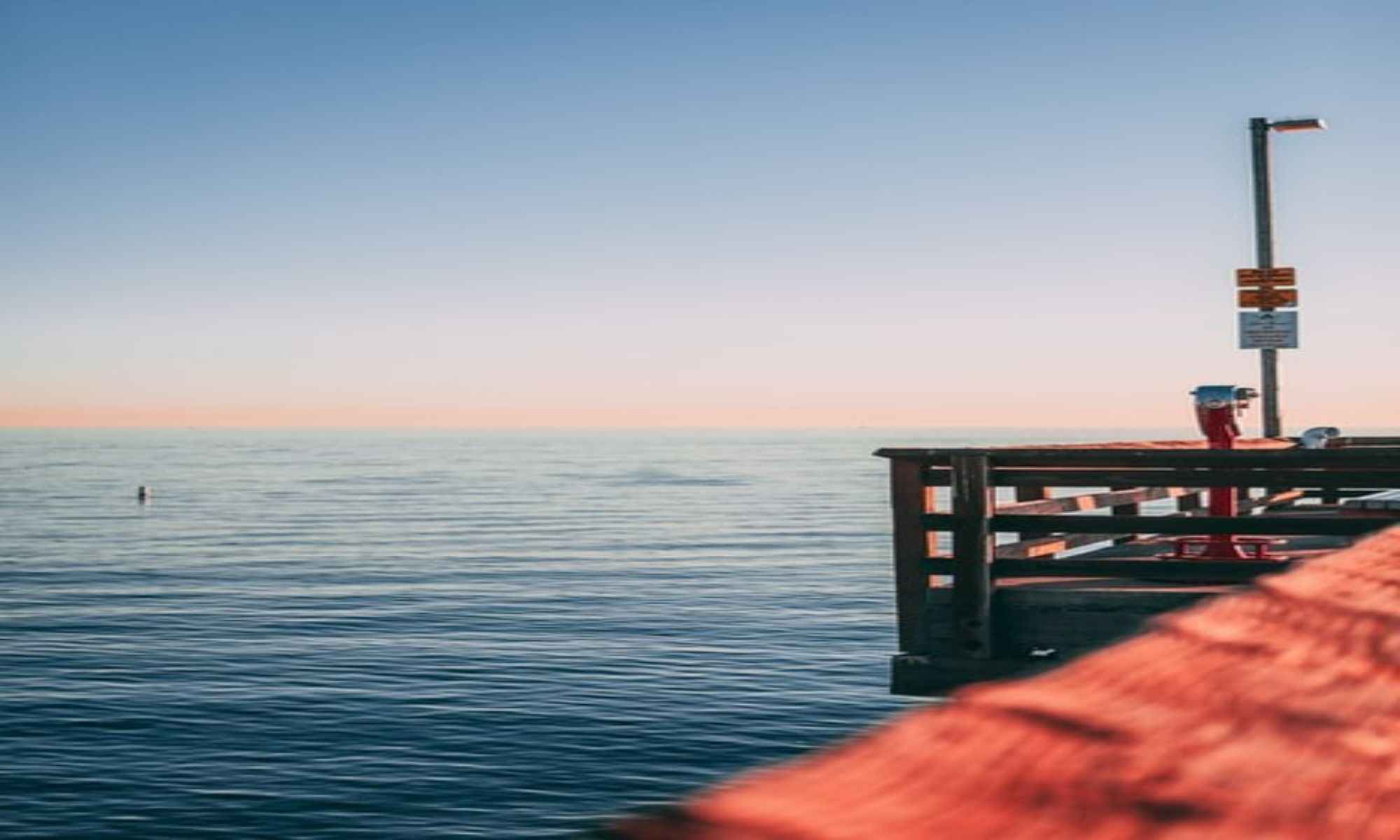 Book Your Fishing Charter in Newport Beach, CA