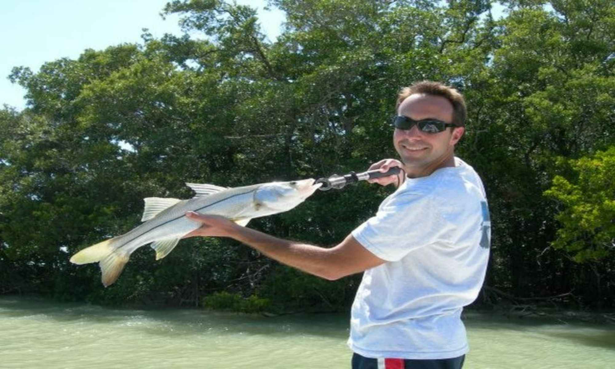 Best Tips for Catching Snook