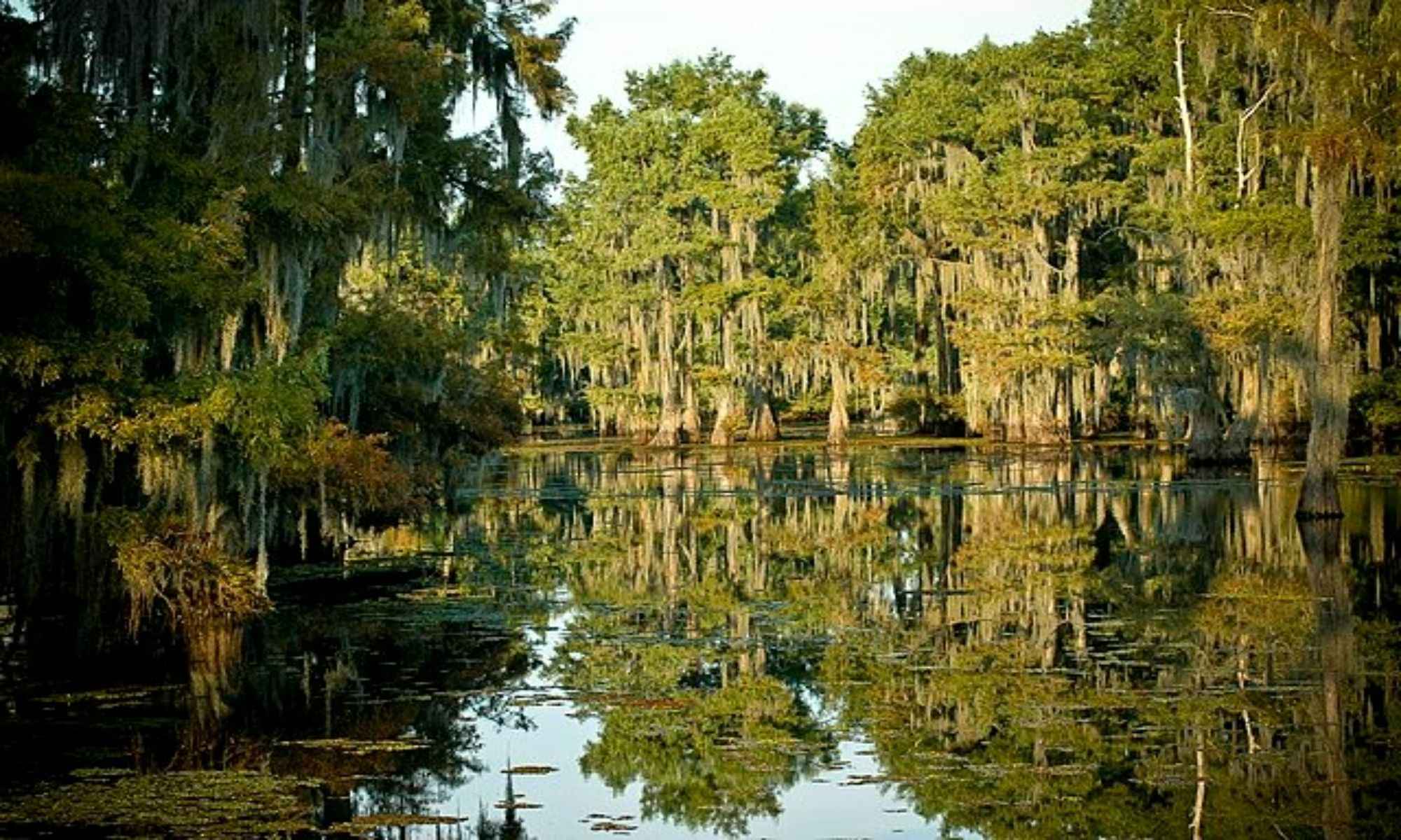 Book Your Fishing Charter in Athens, LA