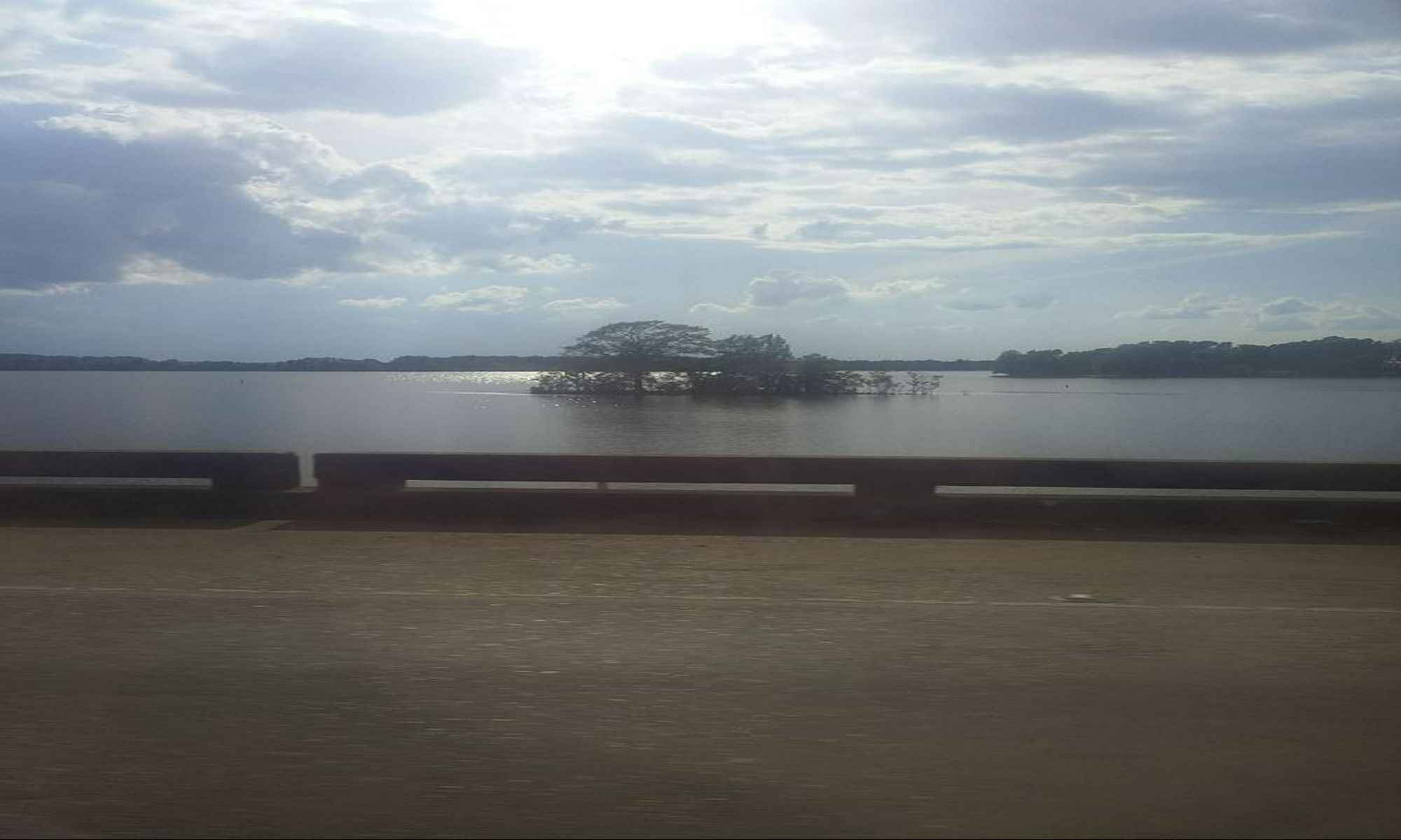 Book Your Fishing Charter in Ashland, LA