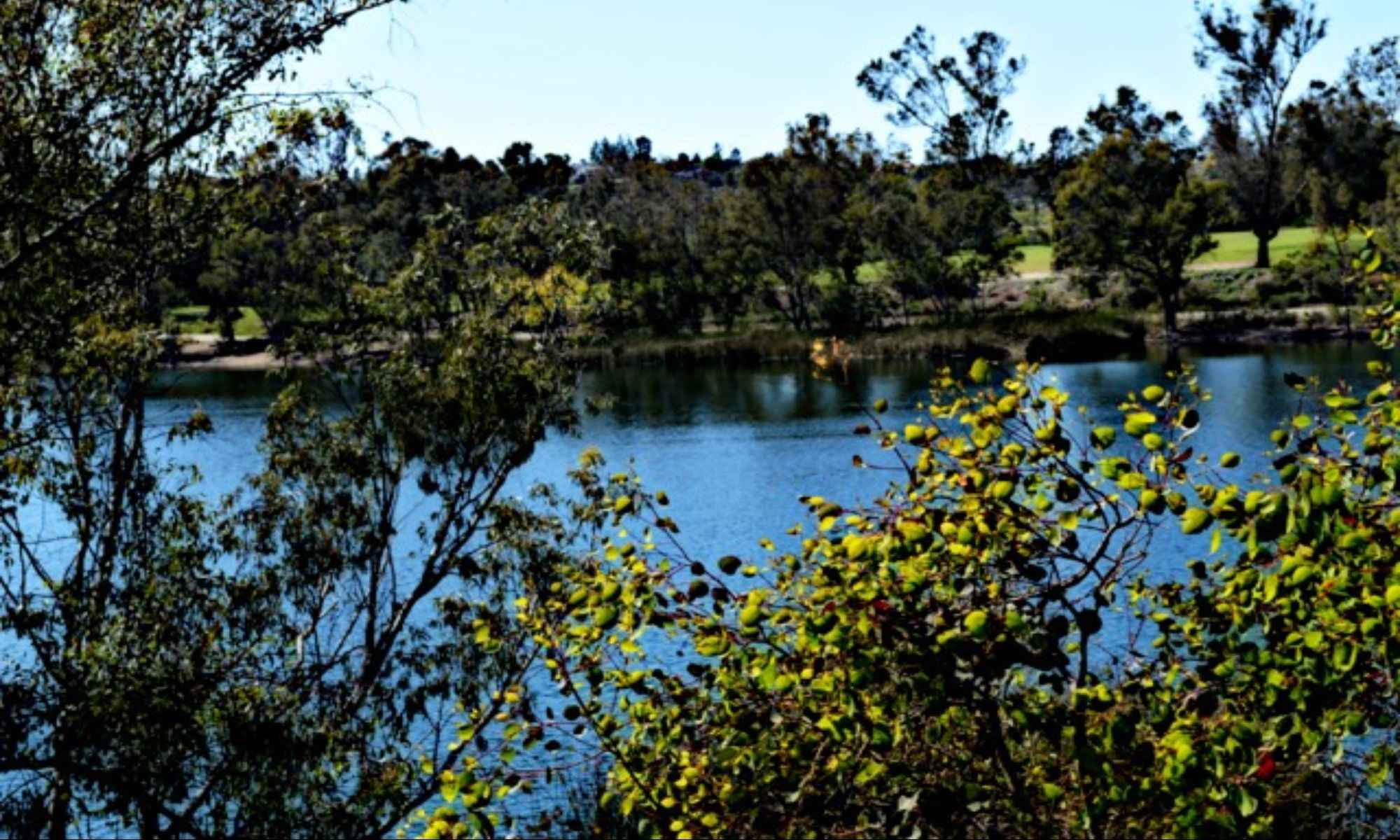 Chapin, SC Fishing: Productive Fishing in the Capital of Lake Murray