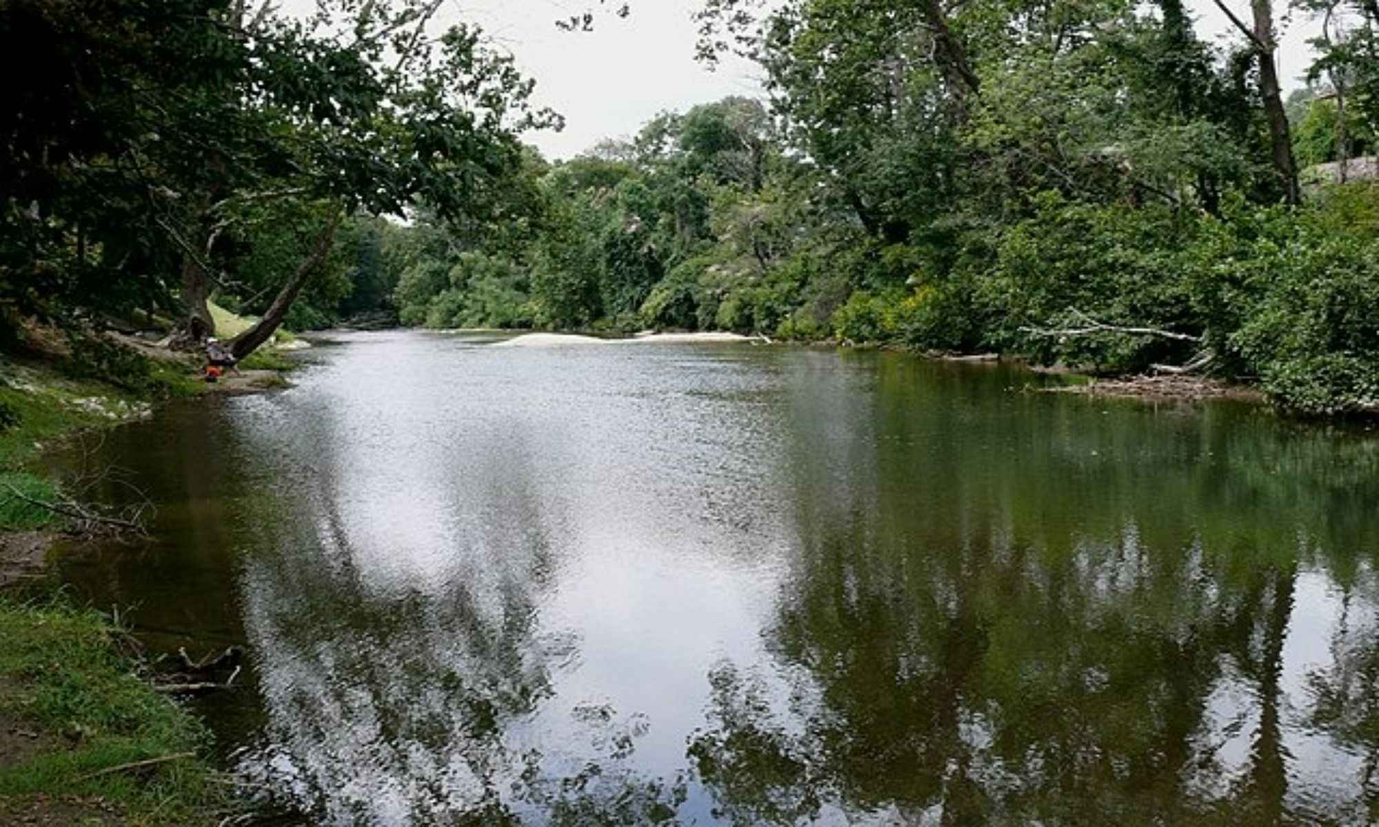 Book Your Fishing Charter in Winston-Salem, NC