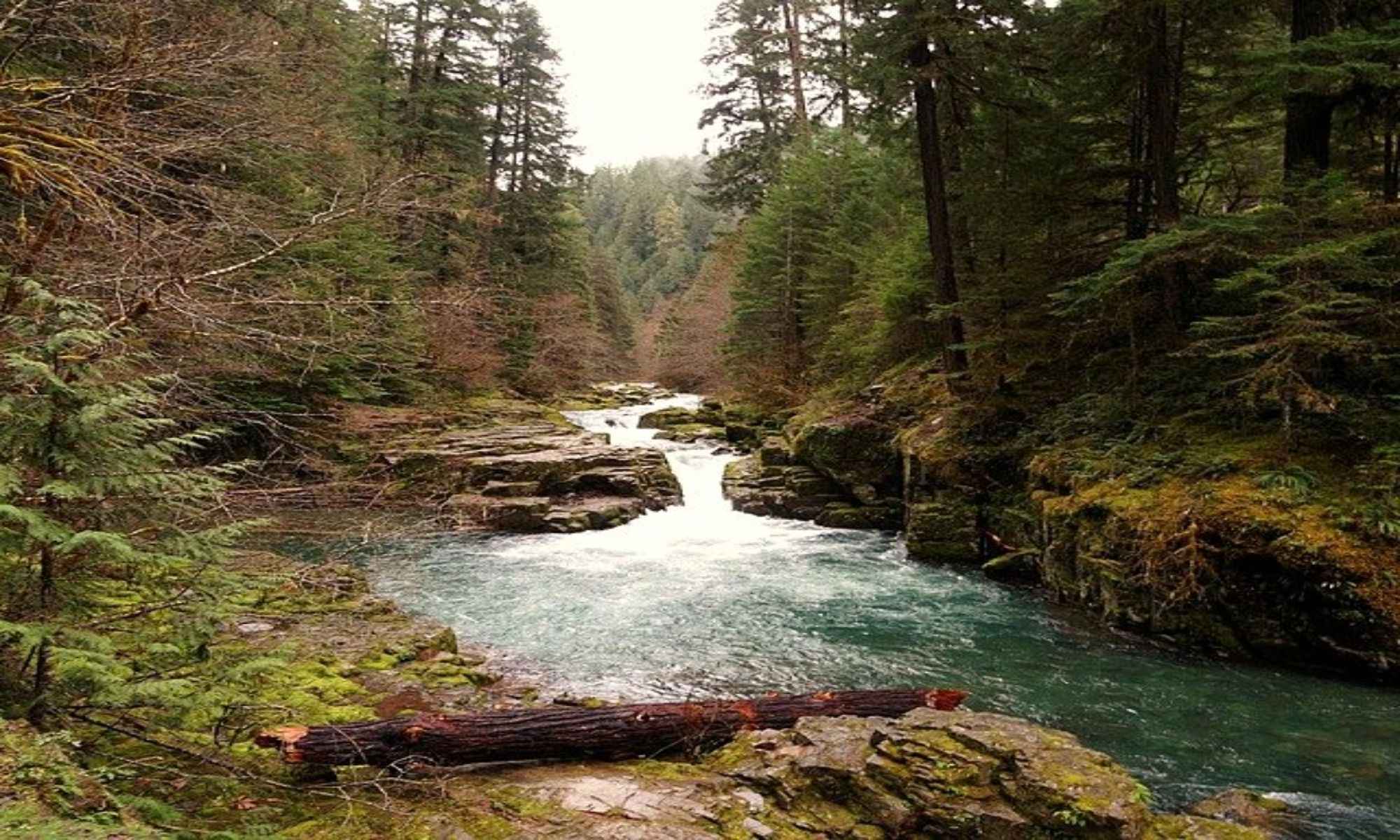 New Bern, NC Fishing: Fishing in the Athens of the South