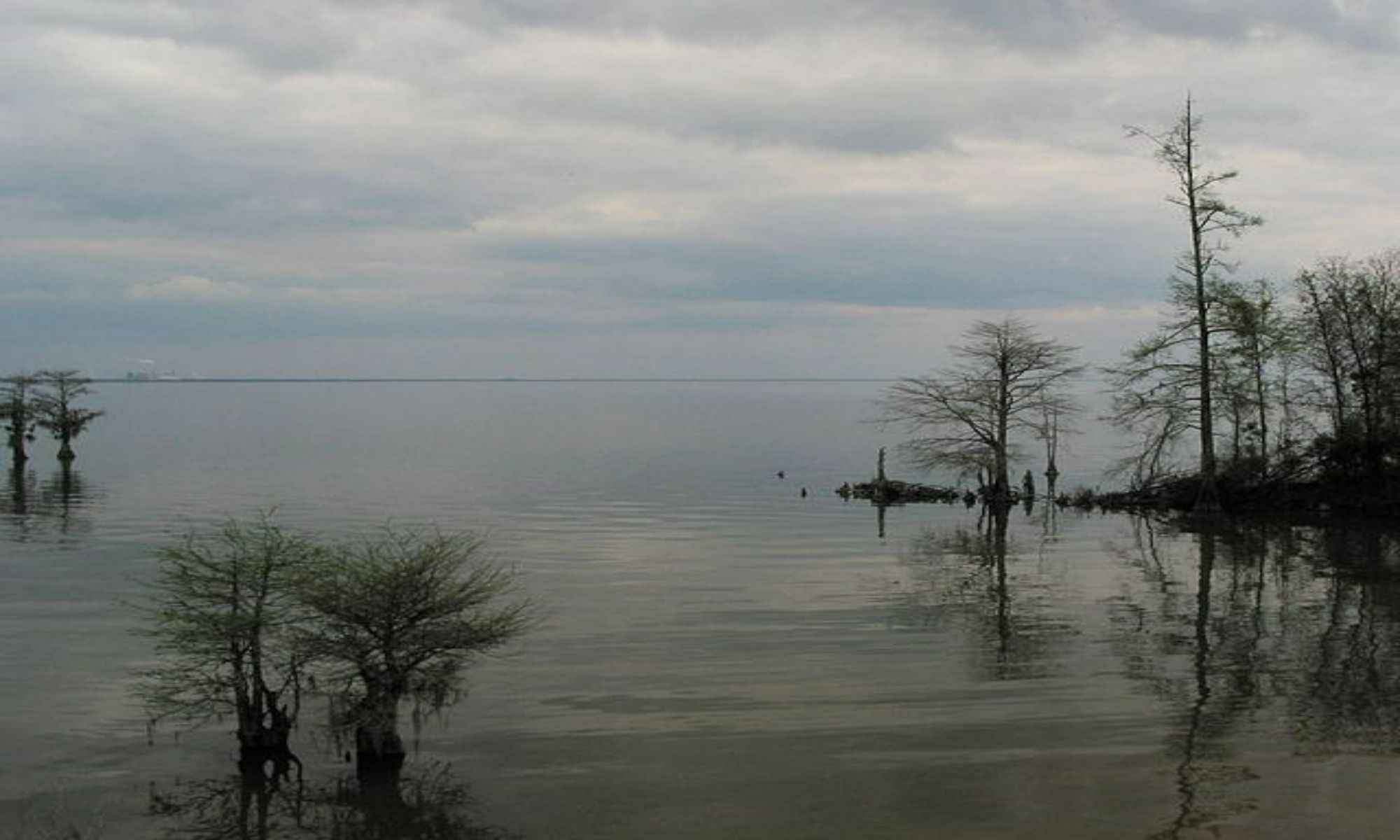 Book Your Fishing Charter in Bamberg, SC