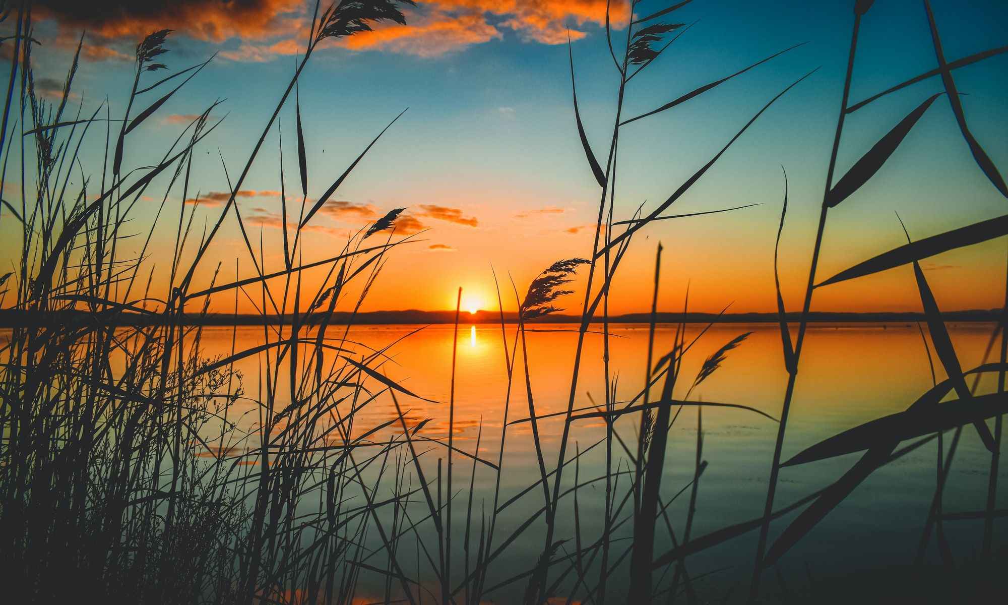 Book Your Fishing Charter in Milton, VT