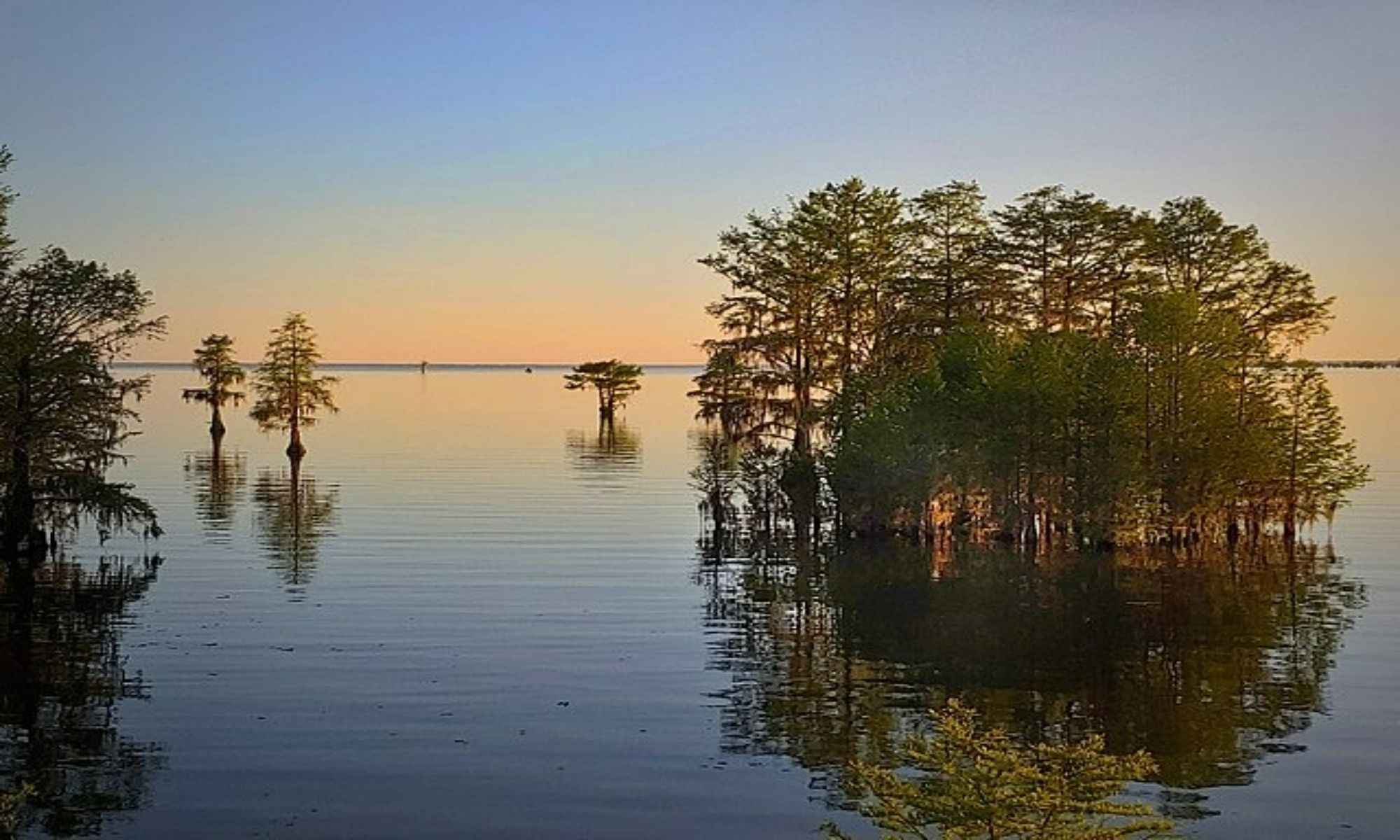 Book Your Fishing Charter in Cross, SC