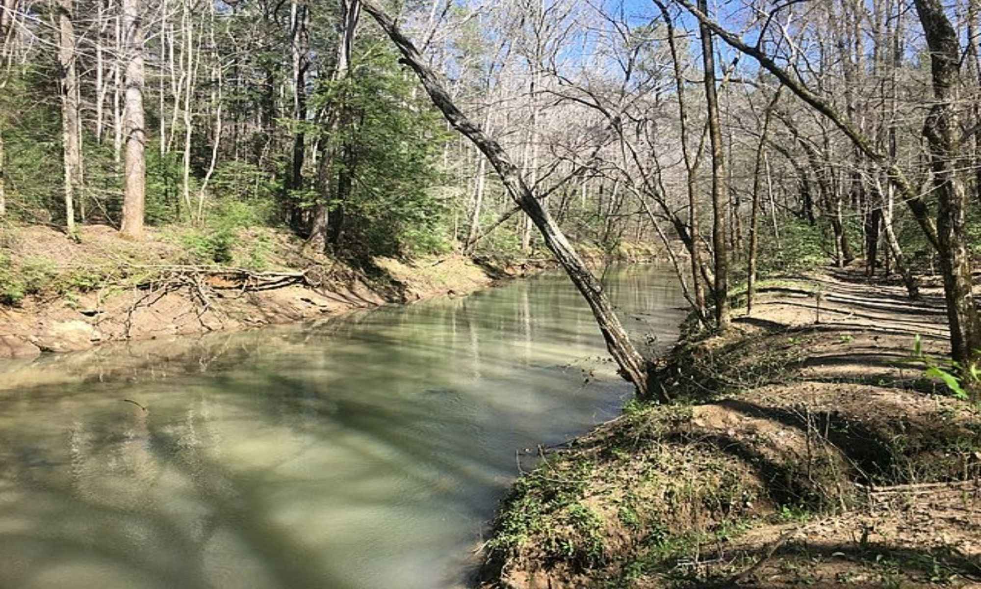 Aliceville, AL Fishing: Angling in a Homey City