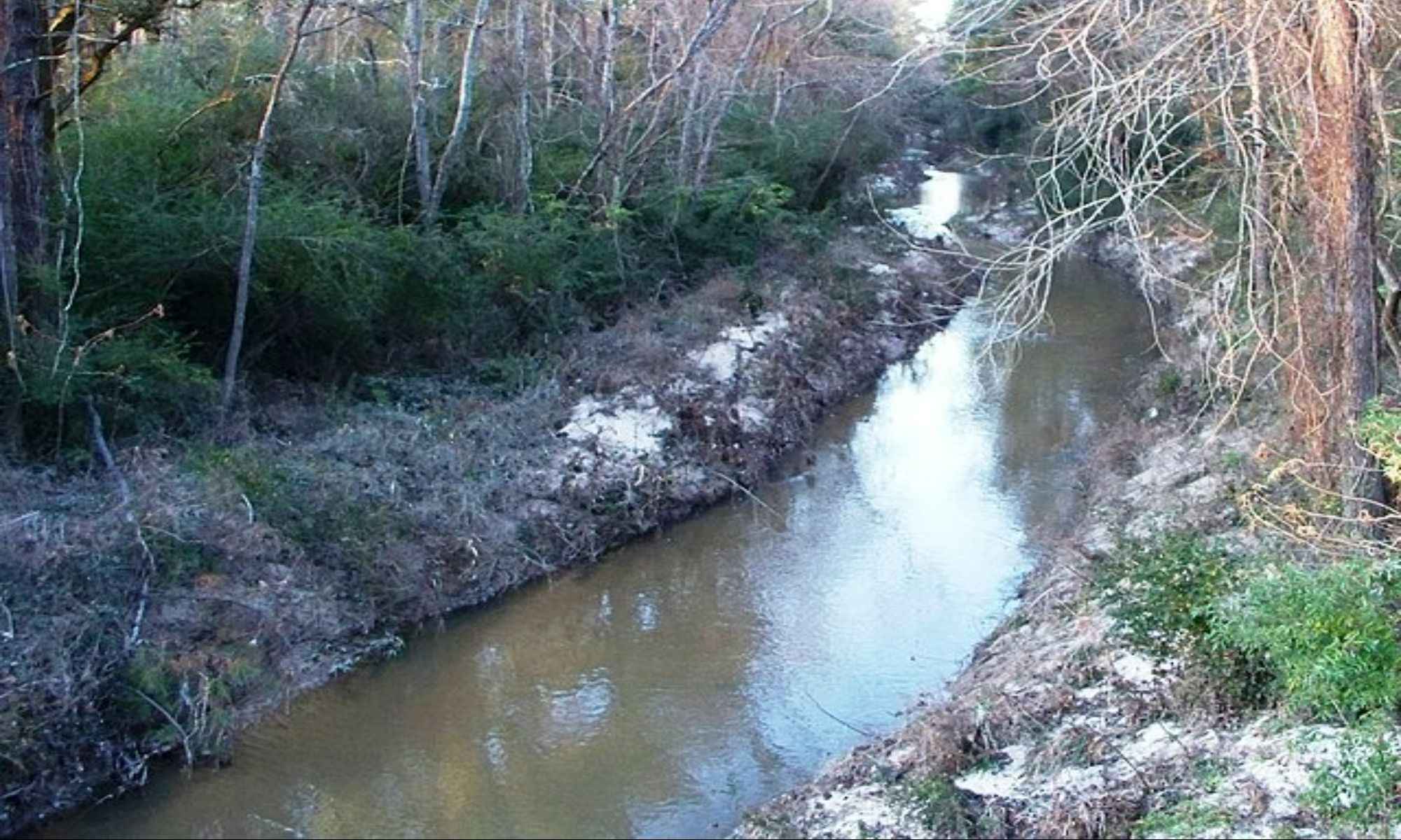 Amite City, LA Fishing: Fair Fishing Opportunities in Southeastern Louisiana