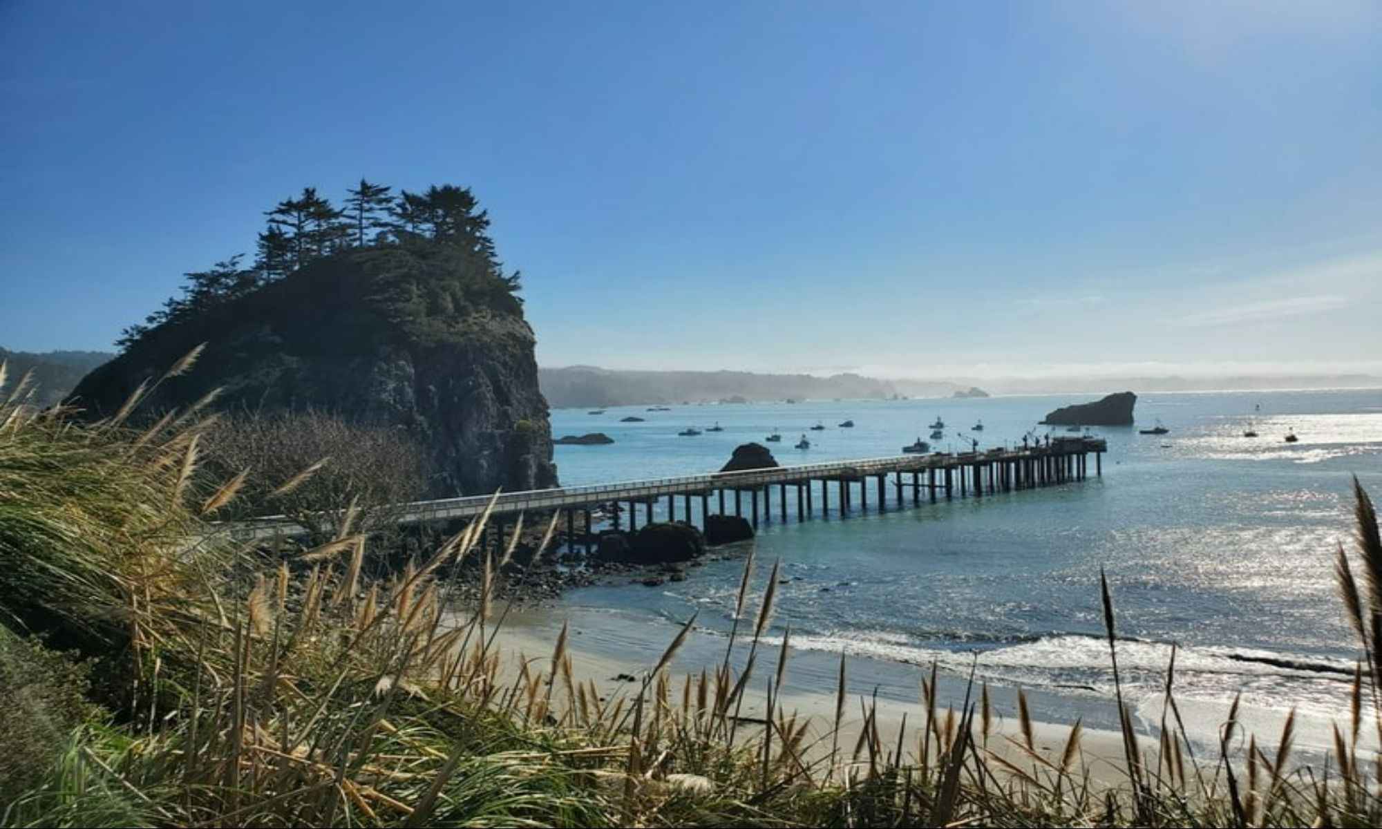 Trinidad, CA Fishing: Off-the-Beaten-Path Fishing Destination in NorCal