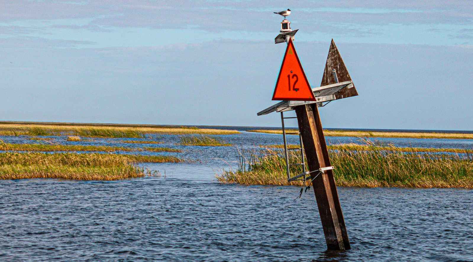 Lake Okeechobee Fishing, Florida's Best Bass Waters