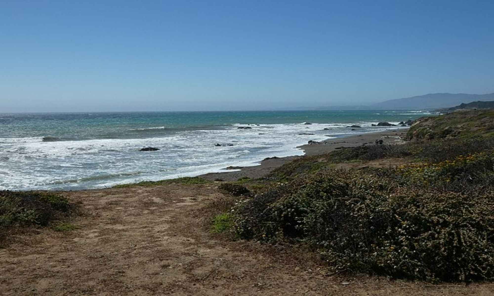 Book Your Fishing Charter in Cambria, CA