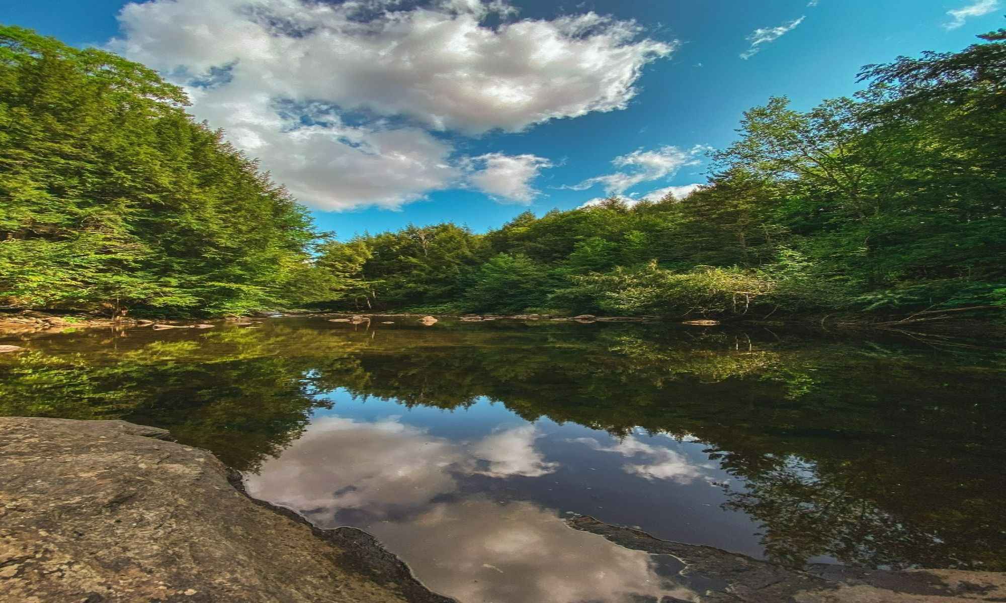 Book Your Fishing Charter in Londonderry, VT
