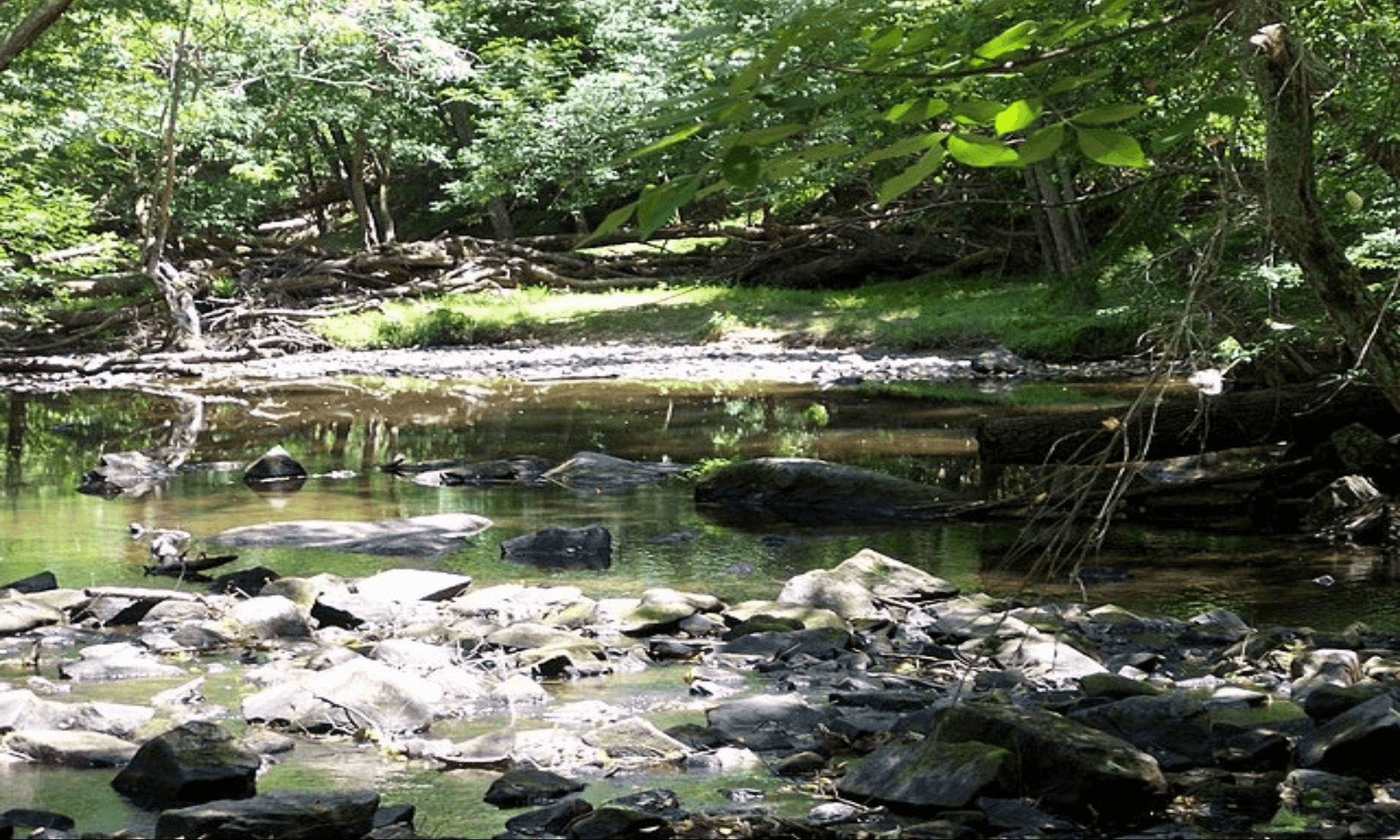 Book Your Fishing Charter in Morrisville, NC