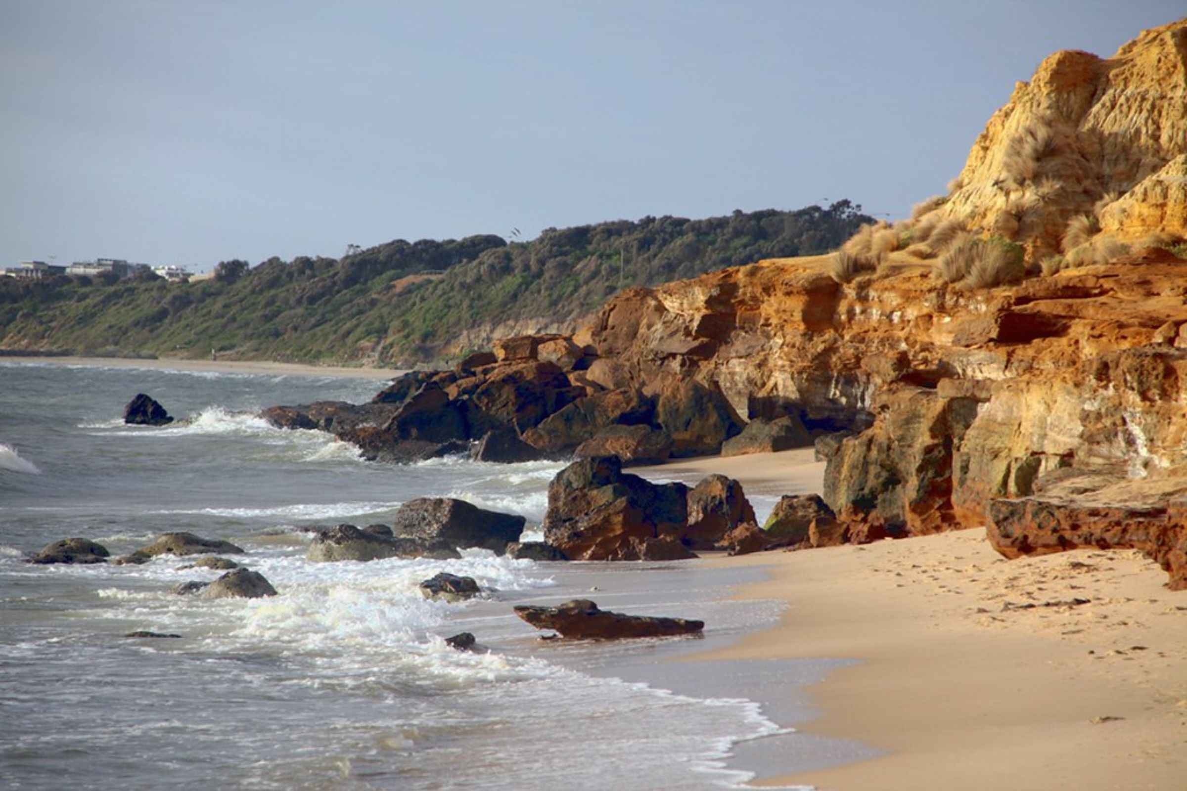 Book Your Fishing Charter in Half Moon Bay, CA