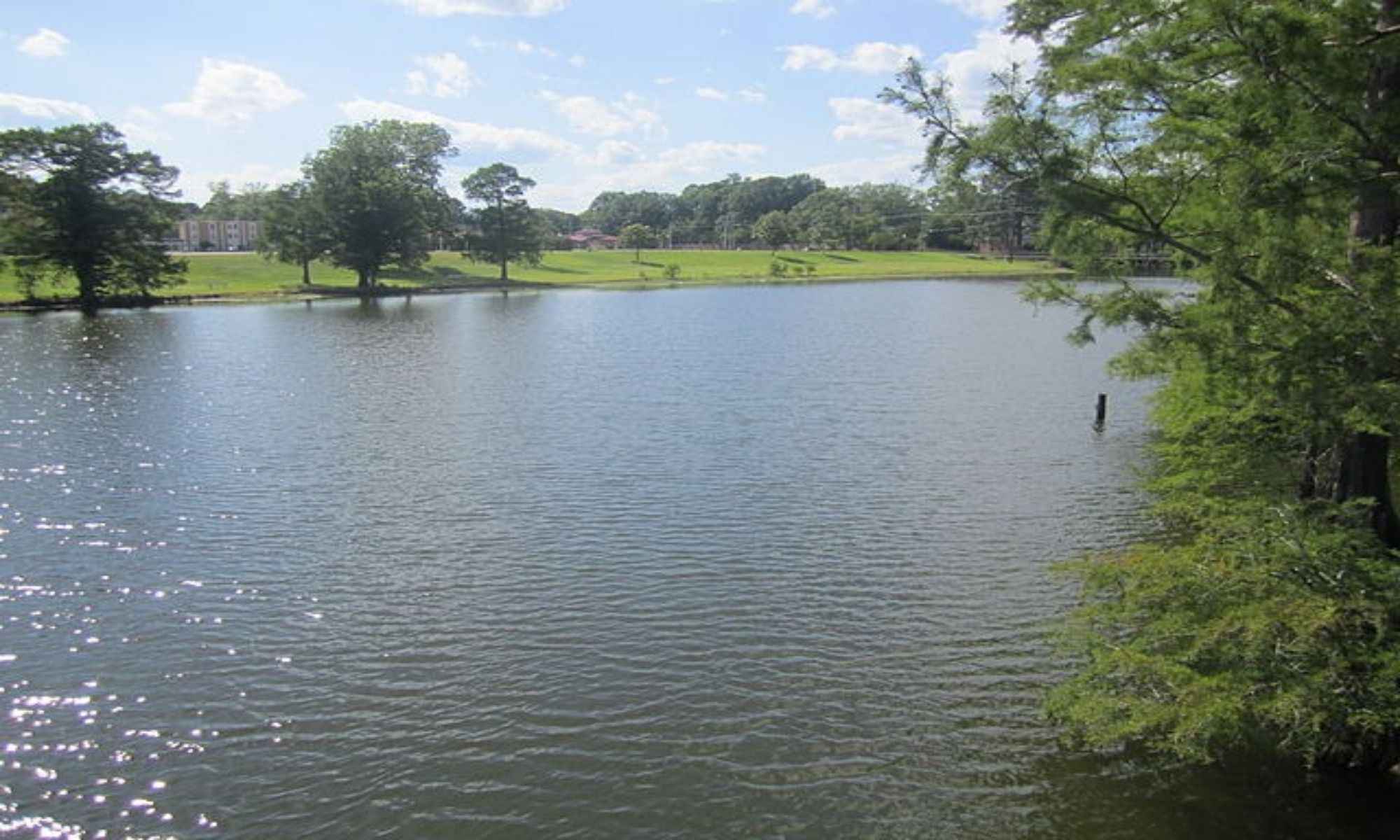Collinston, LA Fishing: Bayou Fishing in North Louisiana