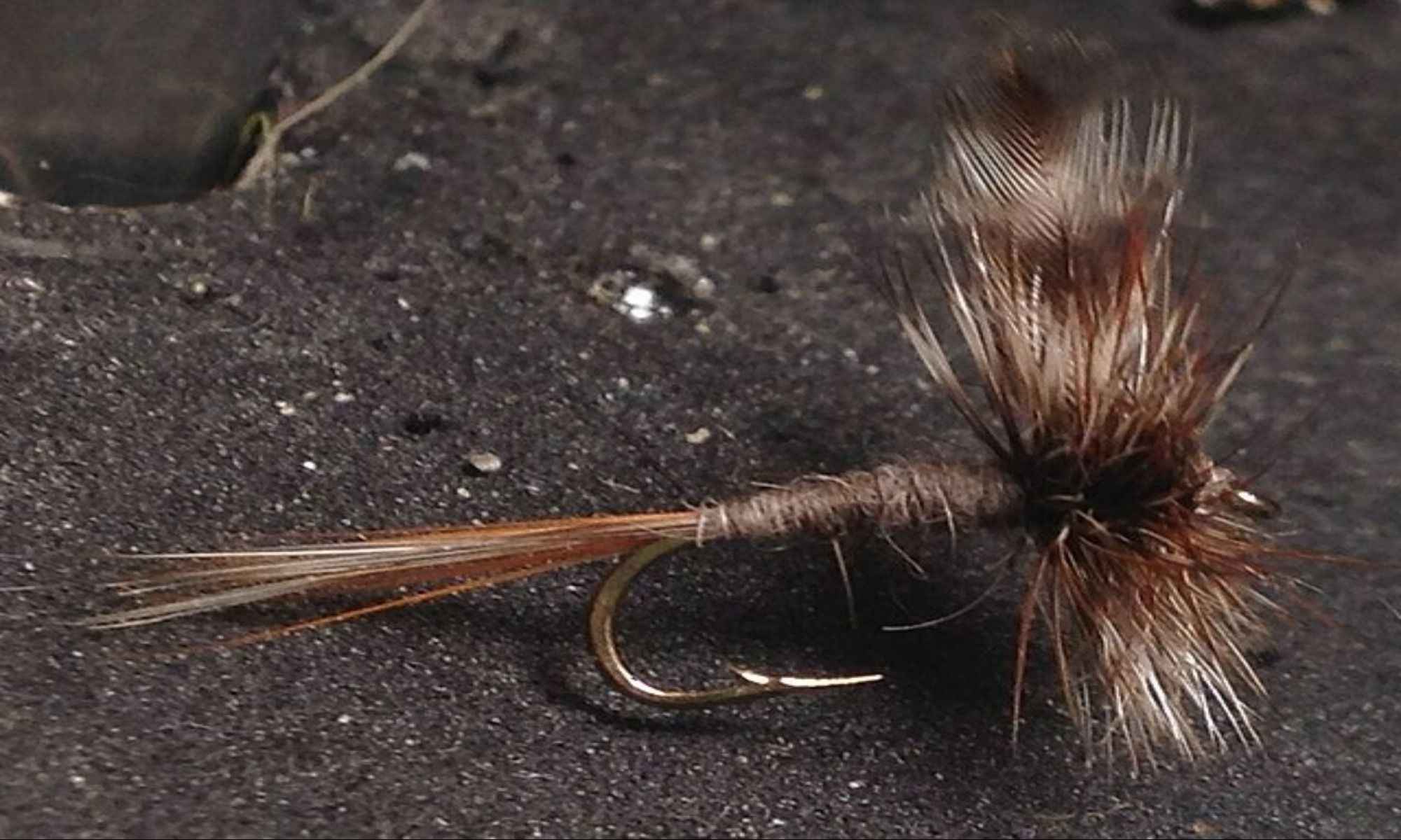 Tips on Dry Fly Fishing on Lakes
