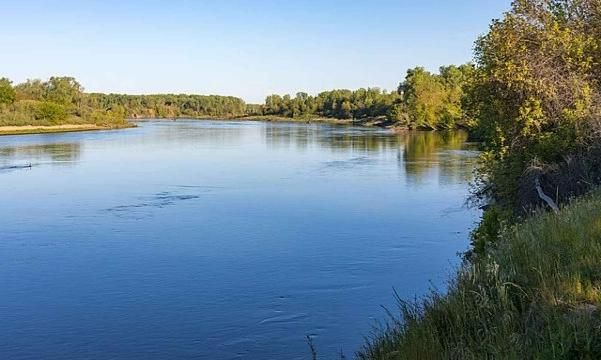 Book Your Fishing Charter in Moss Landing, CA