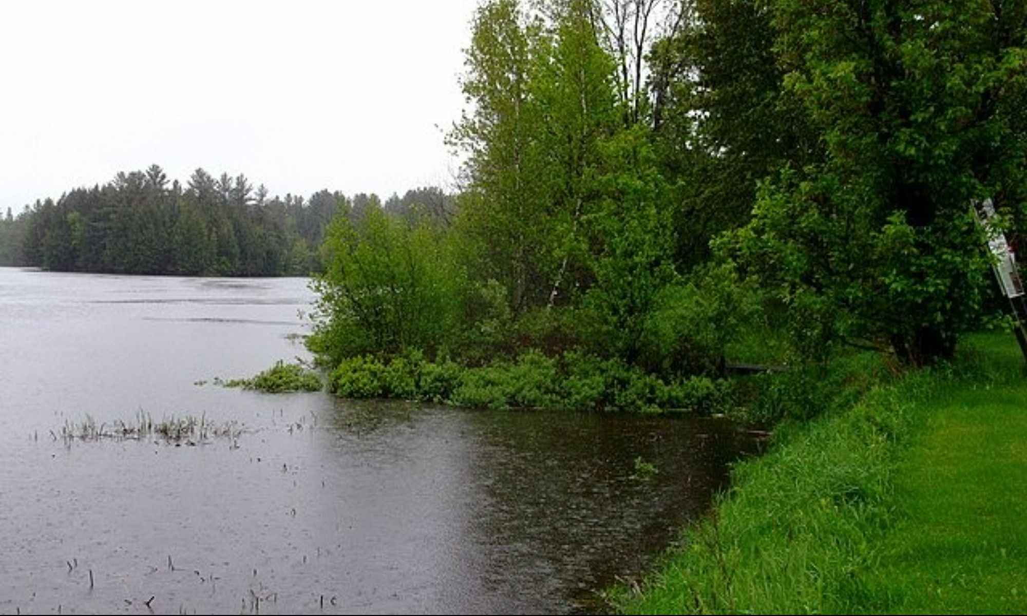 Book Your Fishing Charter in Medfield, MA