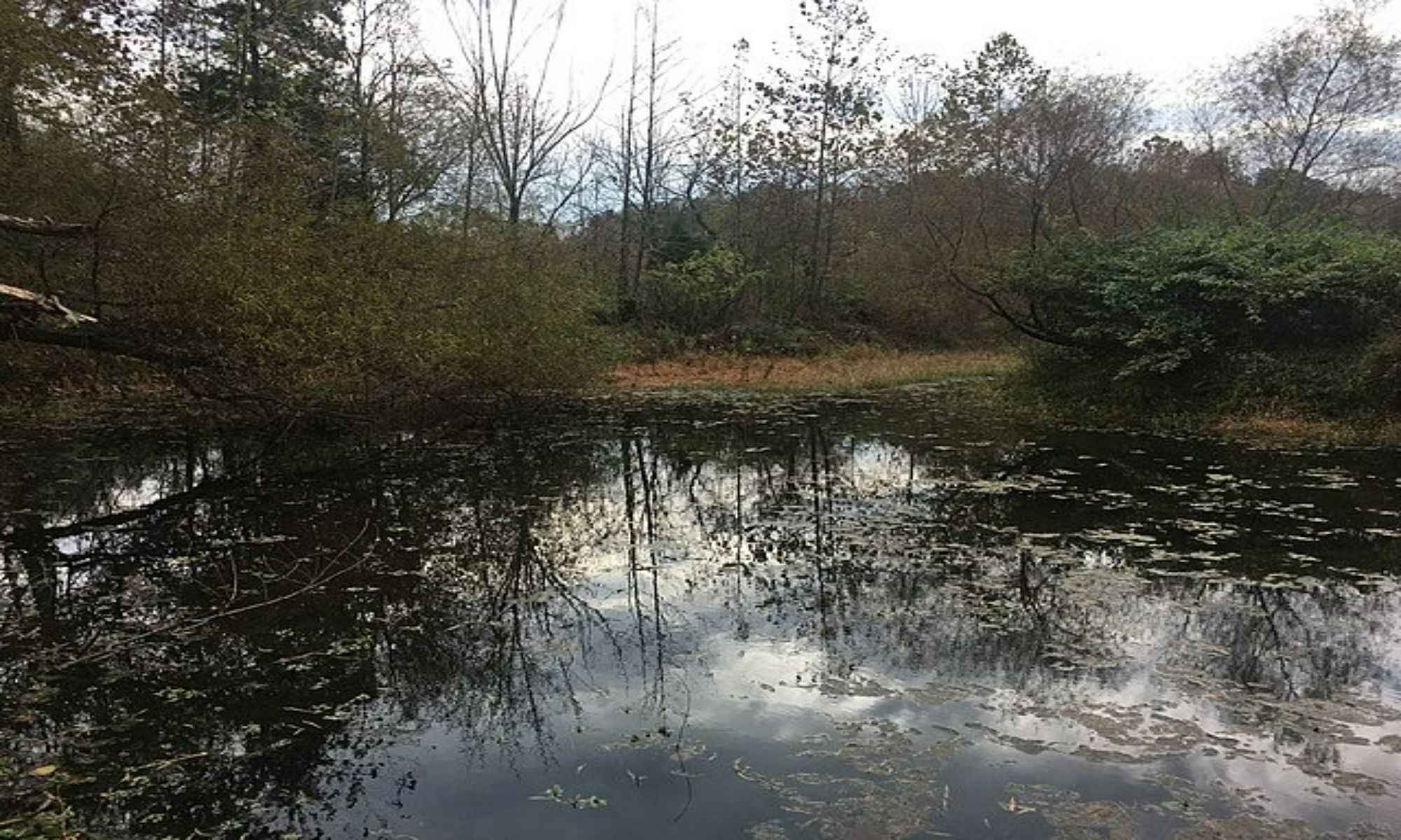 Kannapolis, NC Fishing: Ideal Gateway to Freshwater Fishing in the Charlotte District