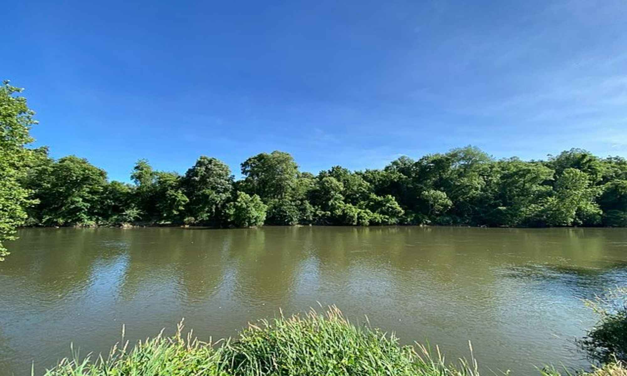 Bluffton, SC Fishing: The Quintessential Beauty of South Carolina