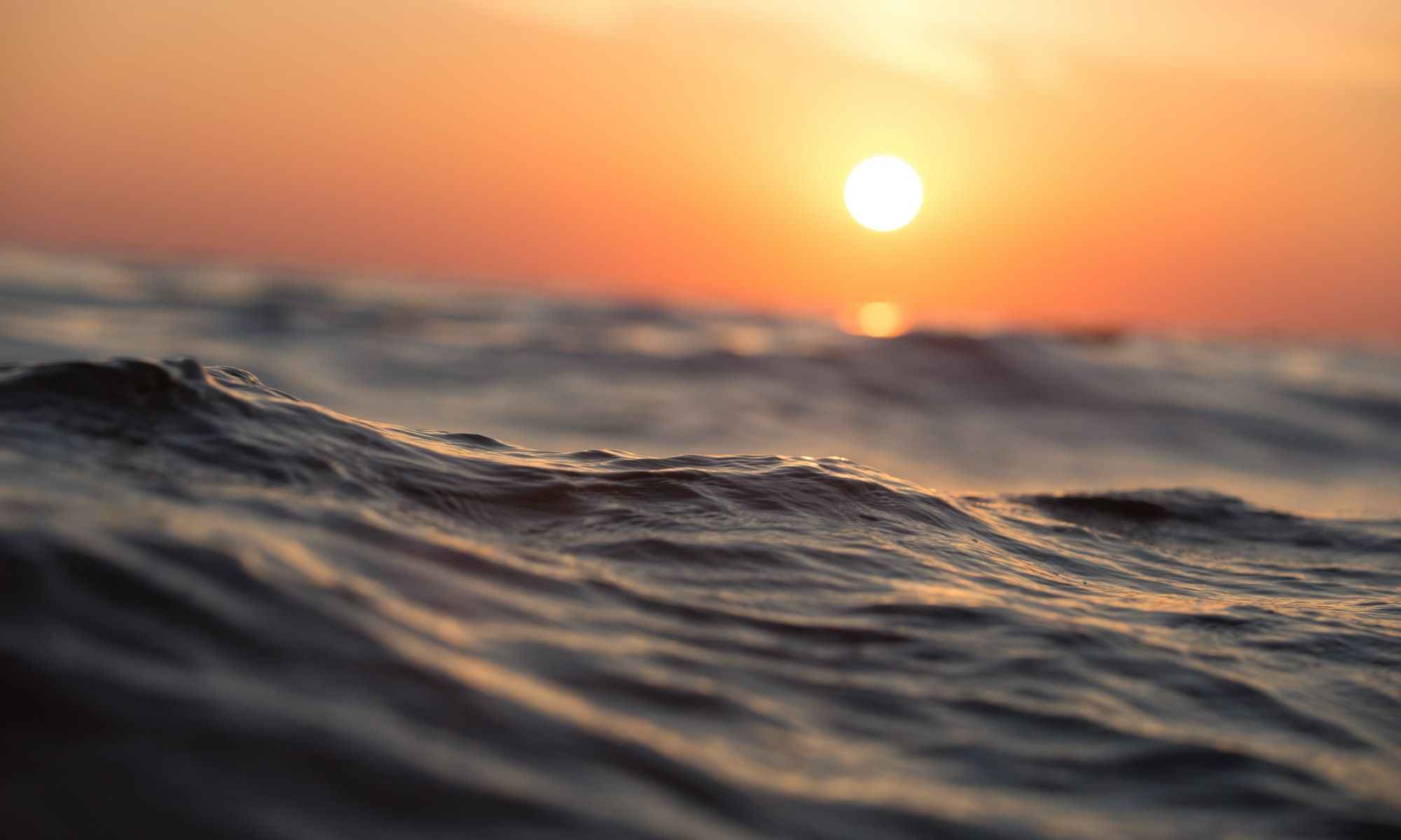 Book Your Fishing Charter in Carrabelle, FL