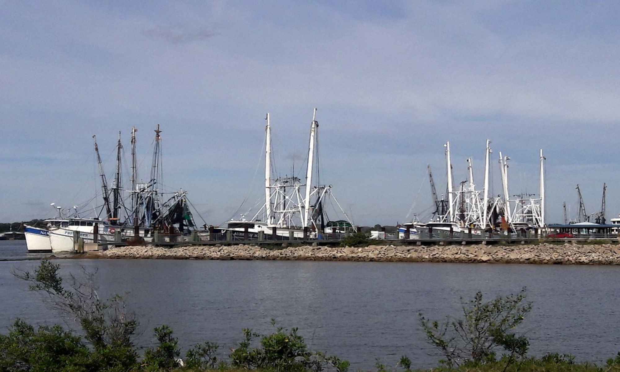 Book Your Fishing Charter in Mayport, FL