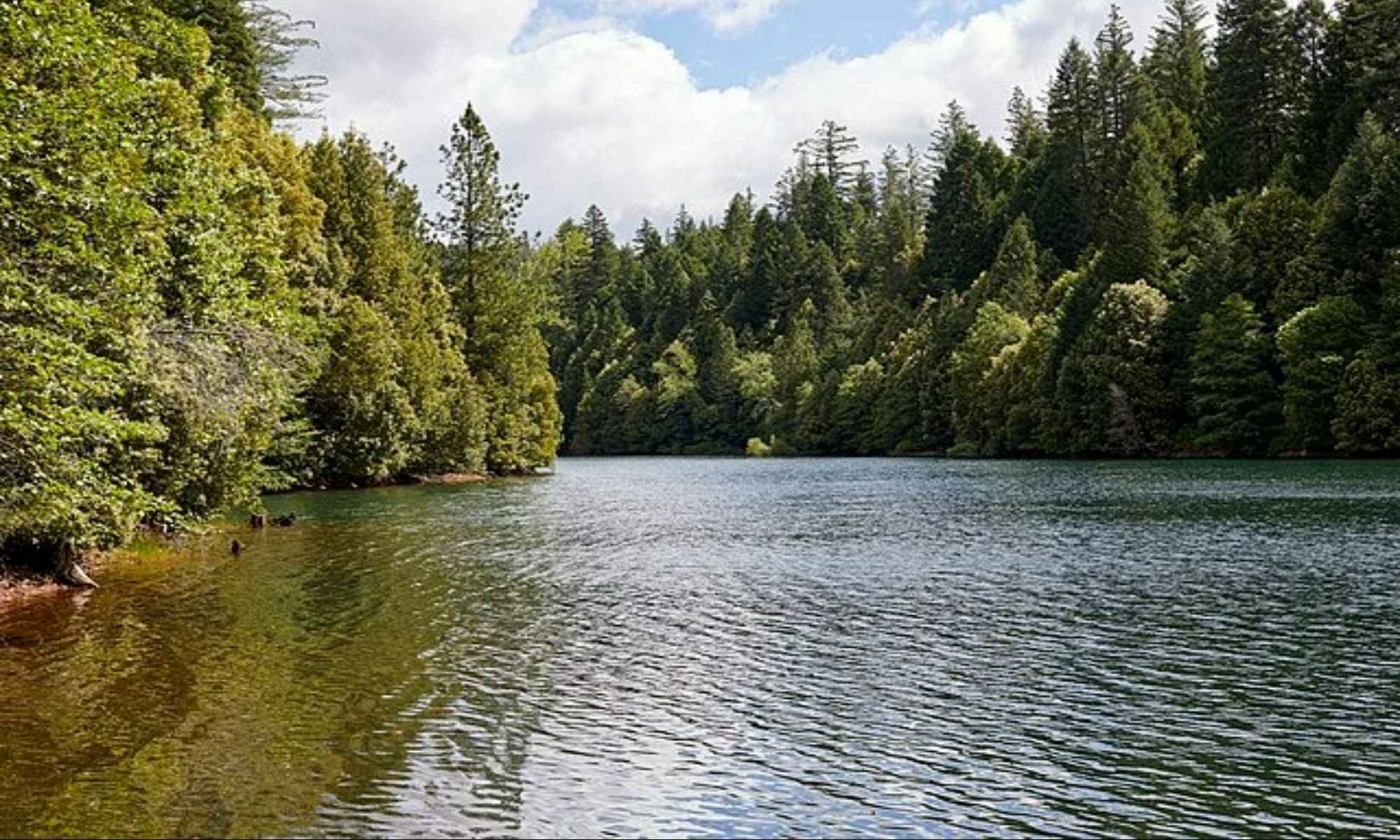 Book Your Fishing Charter in Jacksonville, AR