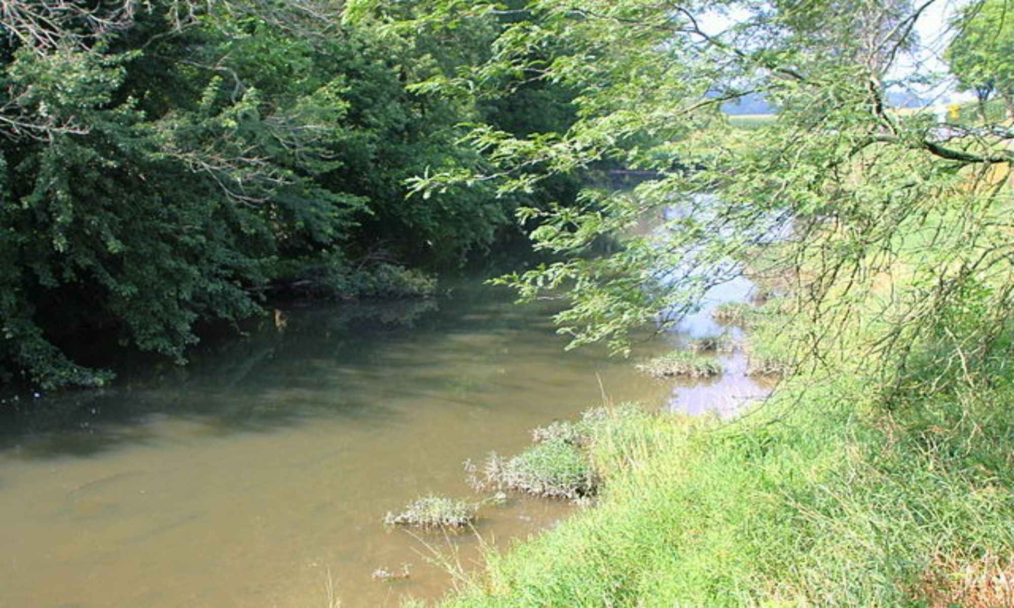 Belton, SC Fishing: Suburban Rural Angling in South Carolina