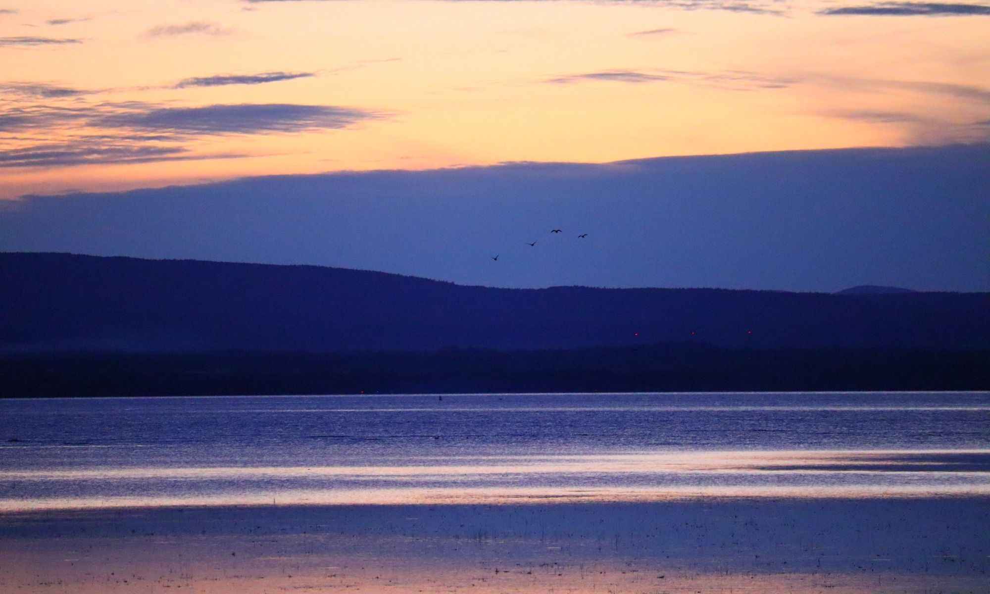 Colchester, VT Fishing: Experience Angling Like No Other