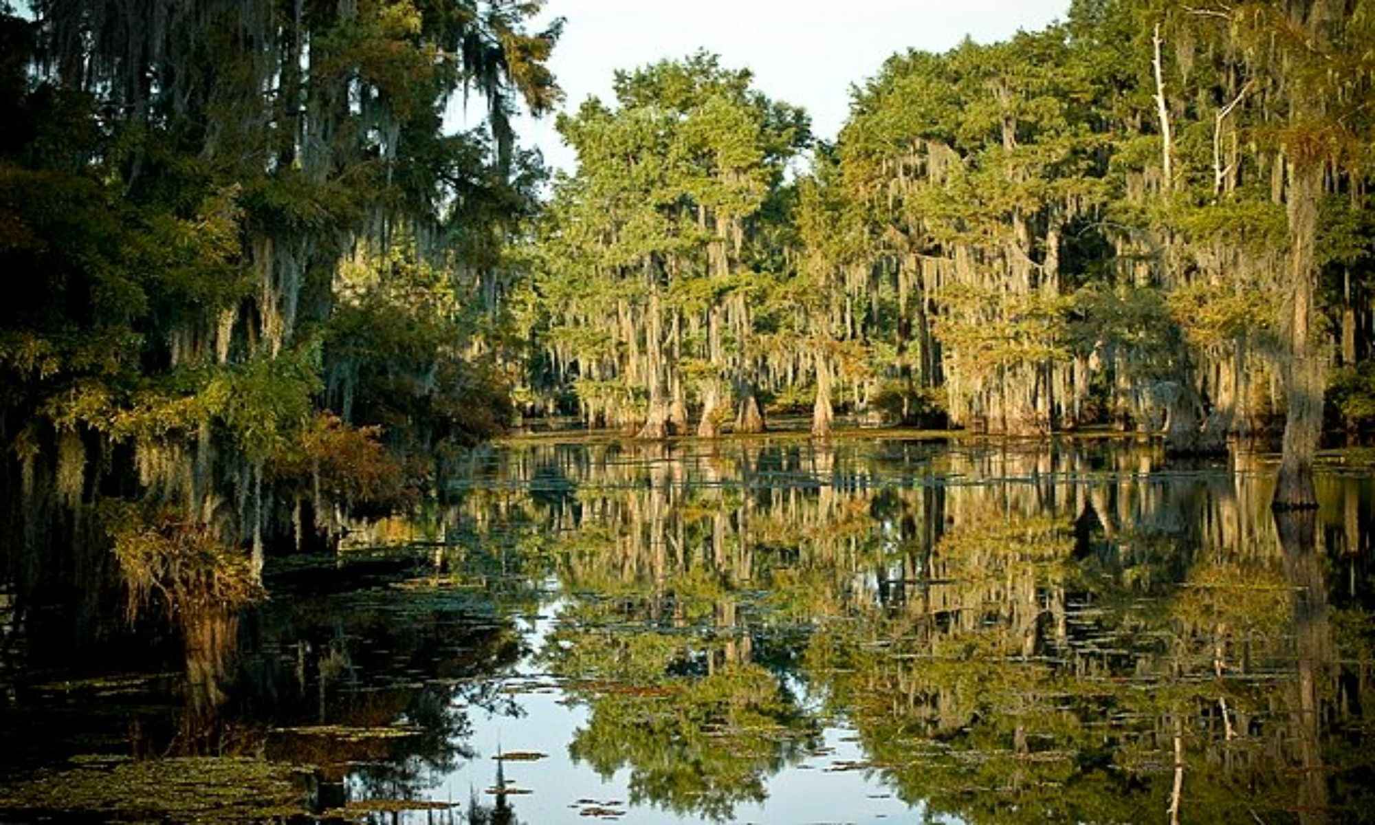 Book Your Fishing Charter in Bryceland, LA