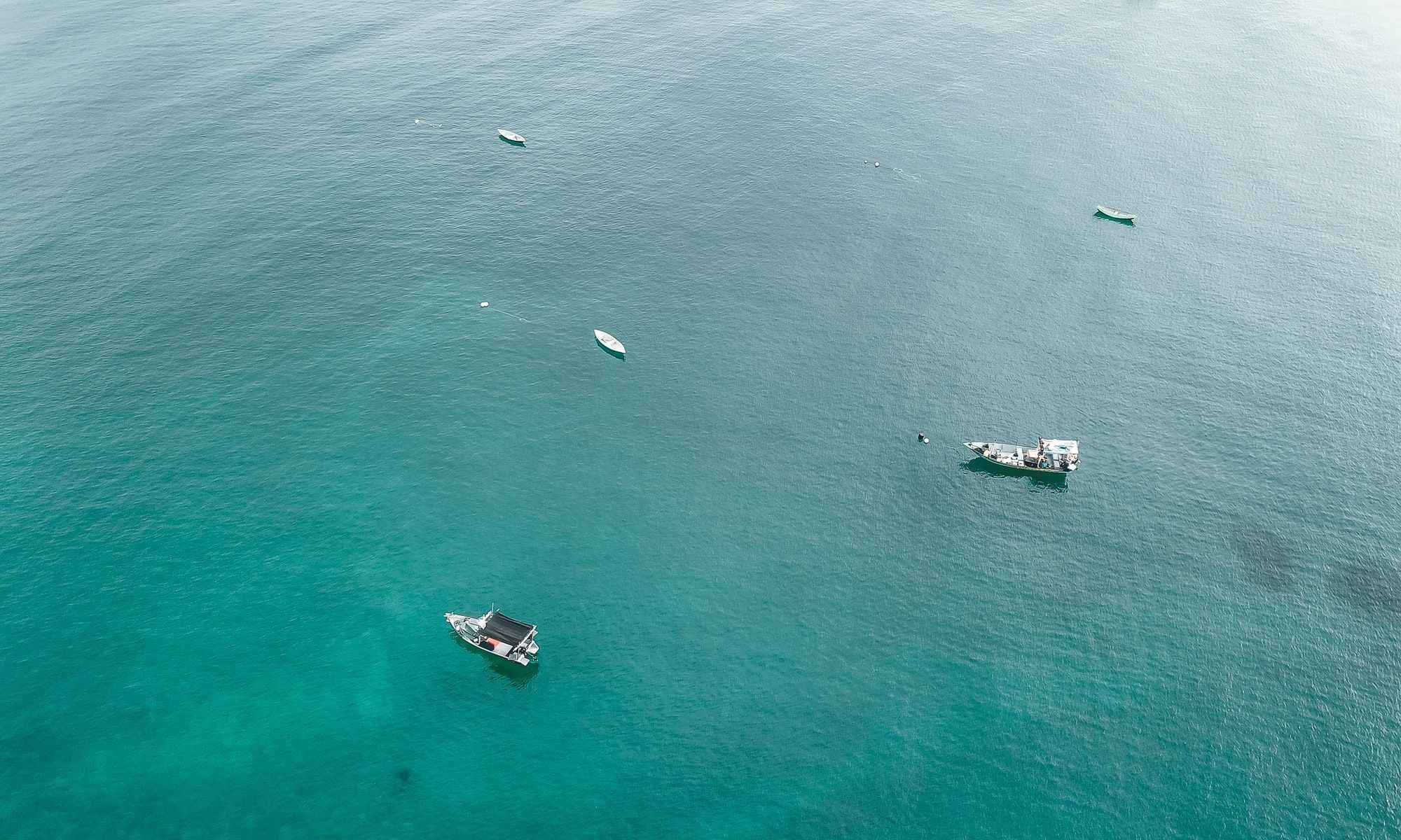 Steinhatchee, FL Fishing: Fish Along the Best Kept Secrets in Florida