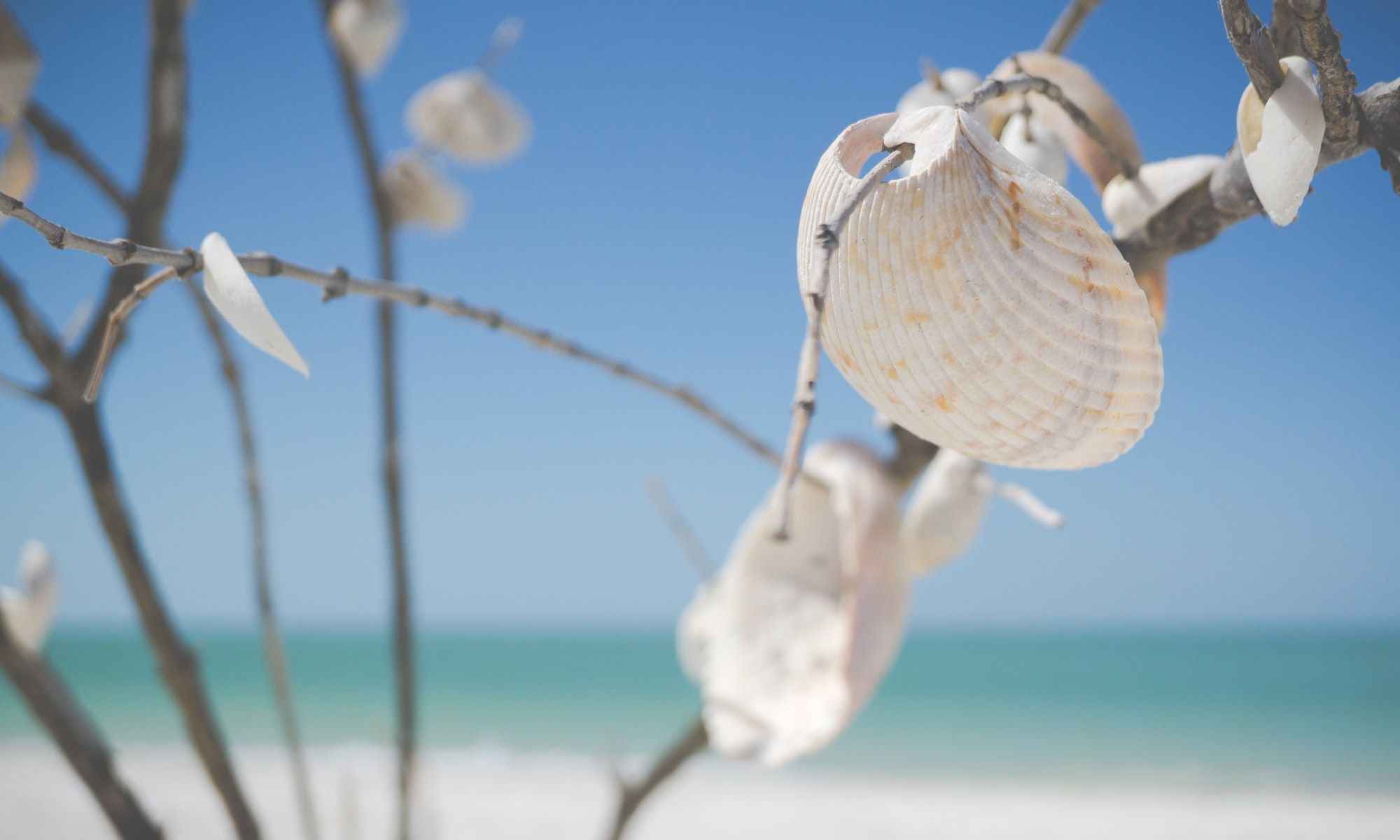 Book your Fishing Charter in Cedar Key, FL