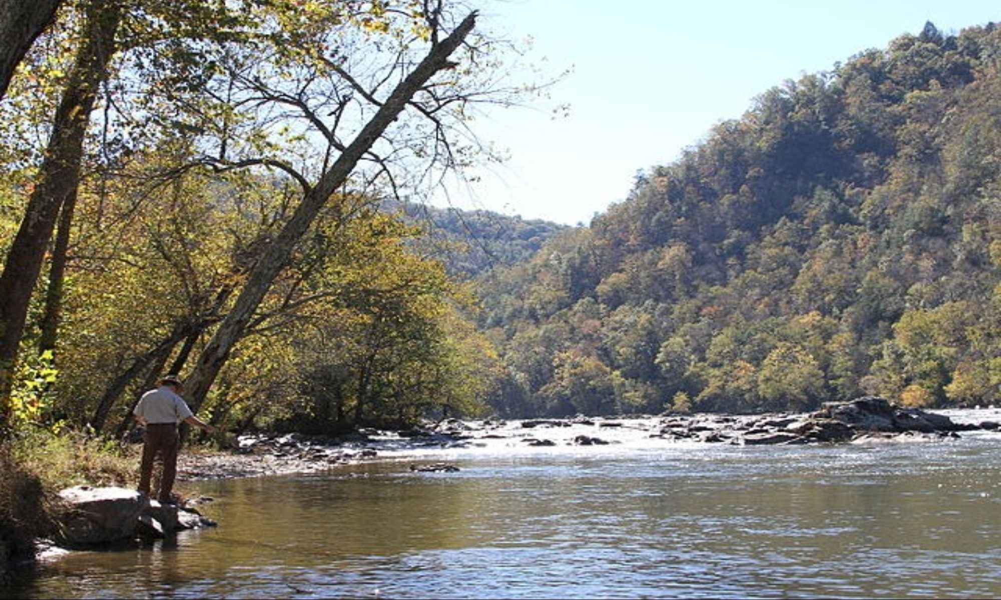 How Water Temperature Affects Fish